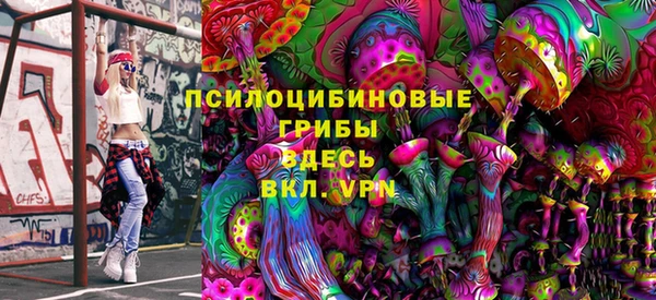spice Михайлов