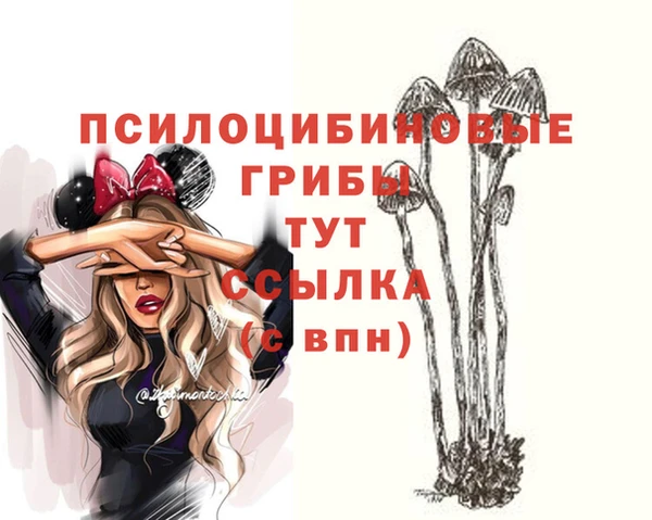spice Михайлов