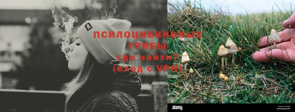 spice Михайлов