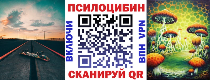 дарк нет наркотические препараты  Тамбов  Галлюциногенные грибы Psilocybe  наркотики 