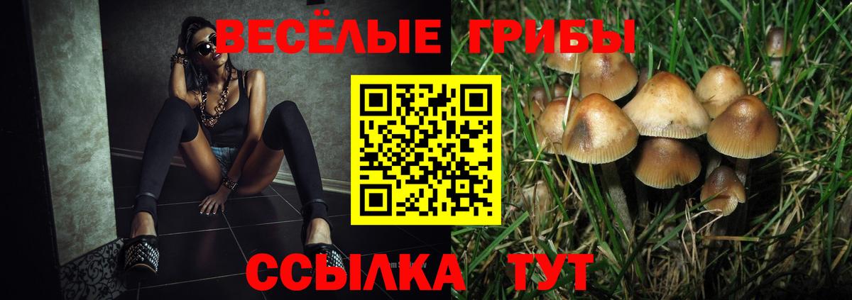 Псилоцибиновые грибы мицелий  Вход с VPN  магазин  наркотиков  Тамбов 
