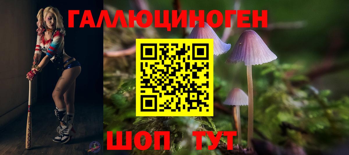 Галлюциногенные грибы Magic Shrooms Тамбов